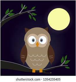 Cute cartoon owls collection.
A fun little owl.
