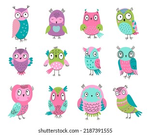 Cute cartoon owls. Nice forest owl, cutie wild colorful animals. Kids illustrated woodland birds, adorable boho style stickers. Isolated nowaday vector characters