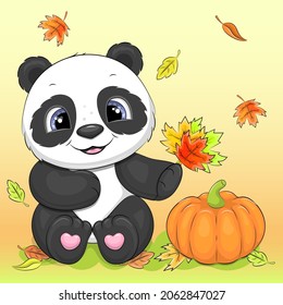 Cute cartoon panda with autumn leaves and pumpkin. Vector illustration of an animal on an orange background.