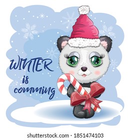 Cute cartoon panda bear with big eyes in a red Santa Claus hat with a caramel cane. Winter is coming. greeting card