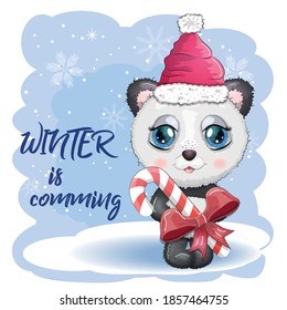 Cute cartoon panda bear with big eyes in a red Santa Claus hat with a caramel cane. Winter is coming. greeting card
