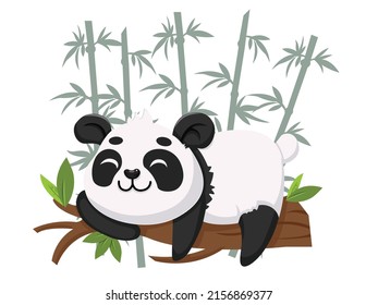 Cute Cartoon Panda Charaktere. auf Bambushintergrund. Kindergrafik im Vektorgrafik-Stil und Bildung