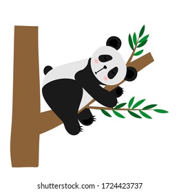 Cute cartoon panda on a tree. Panda is sleeping on a tree. Flat vector illustration isolated on white background.