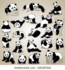 Cute cartoon panda set icons. Black white hand drawn doodle animal.