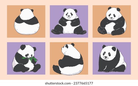 Pandas de dibujos animados sentados y comiendo hojas de bambú