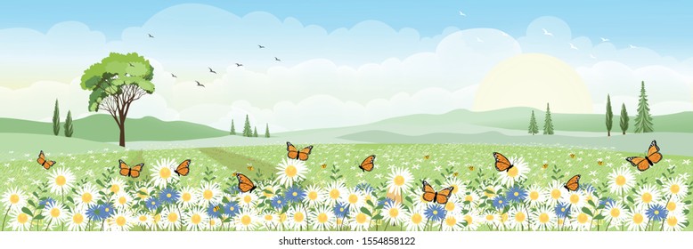 Cute cartoon panorama landscape of Spring field  with butterfly flying over daisy flowers, Lovely card of summer landscape with big tree and wild flowers field on mountains in sunny day.