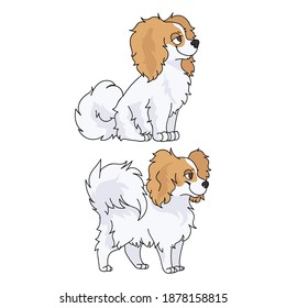 Cute cartoon papillon dog breed vector clipart. Pedigree kennel doggie breed for dog lovers. Purebred domestic dog for pet parlor illustration mascot. Isolated canine fluffy. 