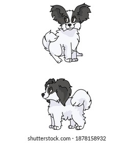 Cute cartoon papillon puppy breed vector clipart. Pedigree kennel doggie breed for dog lovers. Purebred domestic dog for pet parlor illustration mascot. Isolated canine fluffy. 