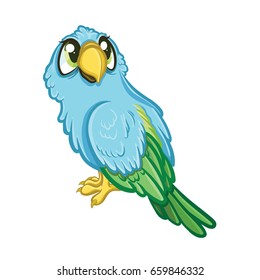 Cute cartoon parrot