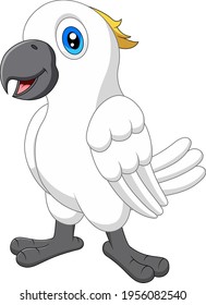 Cute cartoon parrot cockatoo on white background