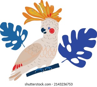 cute cartoon parrots illustration. monstera leaves in bright colors. Vector illustration of parrot on white background. Tropic 