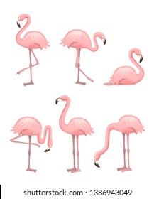 Cute cartoon peach pink flamingo set. Funny flamingo collection. Cartoon animal character design. Flat vector illustration isolated on white background.