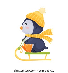 Cute Cartoon Penguin Wearing Warm Hat and Scarf Sledging Vector Illustration