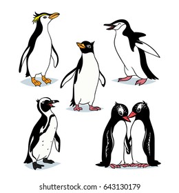 Cute cartoon penguins in different poses. Royal, Adelie, African, Chipstrap, Gentoo types of penguin. Vector illustration of arctic birds on a white background for your design, artwork and print.