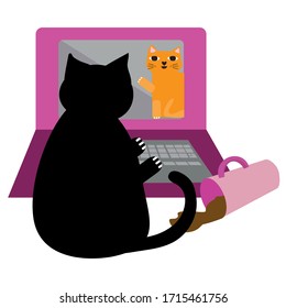 Cute cartoon pet cat and laptop vector illustration. Cheeky black kitty communicates with ginger furry friend and disrupts business office work flow. Isolated fun motif for working from home concept.