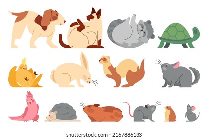 Cute cartoon pets set. Funny adorable domestic animal in different poses. Flat vector illustration with cat and dog, rodents, parrots and reptiles. Flat vector illustration