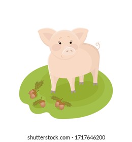 Cute cartoon pig with acorns and oak leaves on green grass. Vector hand drawn illustration.