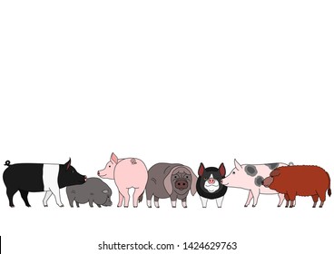 cute cartoon pig breed group