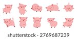 Cute cartoon pig illustration set featuring the pig, vector illustration.