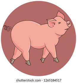 Cute cartoon piggy.Vector illustration.