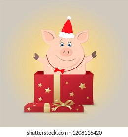 Cute cartoon piglet dressed in the Christmas costume. Piggy POPs out of the gift box. Vector illustration.