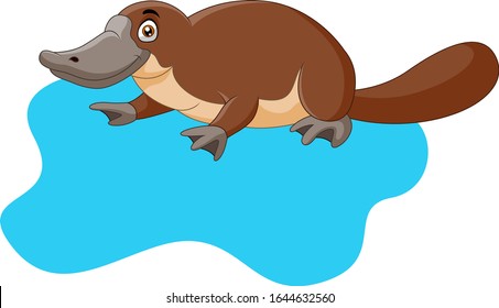 Cuto de caricatura de platypus en el agua