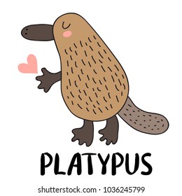 Cute cartoon platypus vector illustration. Australian fauna.