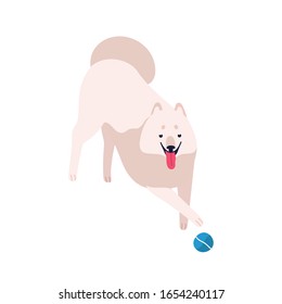 Cute cartoon playful samoyed dog vector flat illustration. White fluffy domestic animal playing with ball isolated on white background. Funny friendly purebred furry pet