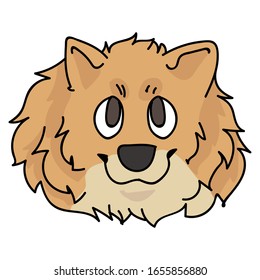 Cute cartoon pomeranian face dog breed vector clipart. Pedigree kennel doggie breed for dog lovers. Purebred domestic puppy for pet parlor illustration mascot. Isolated canine fluffy spitz. EPS 10. 