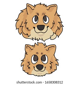 Cute cartoon pomeranian face dog and puppy breed vector clipart. Pedigree kennel doggie breed for dog lovers. Purebred domestic for pet parlor illustration mascot. Isolated canine fluffy spitz. EPS.