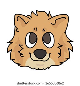 Cute cartoon pomeranian face puppy breed vector clipart. Pedigree kennel doggie breed for dog lovers. Purebred domestic dog for pet parlor illustration mascot. Isolated canine fluffy spitz. EPS 10. 