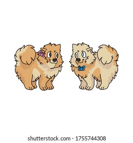 Cute cartoon pomeranian puppy boy and girl vector clipart. Pedigree kennel doggie breed for dog lovers. Purebred domestic dog for pet parlor illustration. Isolated spitz hound. 