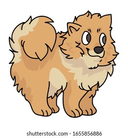 Cute cartoon pomeranian puppy breed vector clipart. Pedigree kennel doggie breed for dog lovers. Purebred domestic dog for pet parlor illustration mascot. Isolated canine fluffy spitz hound. EPS 10. 