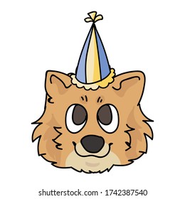 Cute cartoon pomeranian puppy face with party hat vector clipart. Pedigree kennel breed for dog lovers. Purebred domestic dog for celebration illustration mascot. Isolated canine fluffy spitz hound. 