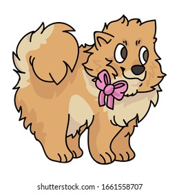 Cute cartoon pomeranian puppy with girly bow vector clipart. Pedigree kennel doggie breed for dog lovers. Purebred domestic dog for pet parlor illustration mascot. Isolated canine spitz hound. EPS 10