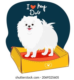 Cute cartoon pomeranian puppy I love my dog, vector print. Pedigree kennel doggie breed for dog lovers. illustration. Isolated pomeranian spitz. print on t-shirt, cup, clothes. dog is on bed