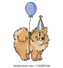 Cute cartoon pomeranian puppy with party hat vector clipart. Pedigree kennel doggie breed for dog lovers. Purebred domestic dog for celebration illustration mascot. Isolated canine fluffy spitz hound.