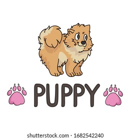 Cute cartoon pomeranian puppy with text word and paw print vector clipart. Pedigree kennel doggie breed for dog lovers. Purebred dog for pet partlor illustration. Isolated spitz hound. EPS 10. 