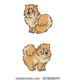 Cute cartoon Pomeranian puppy vector clipart. Pedigree kennel doggie for pet parlor. Purebred domestic spitz dog training for kennel club illustration mascot. Isolated canine breed. 