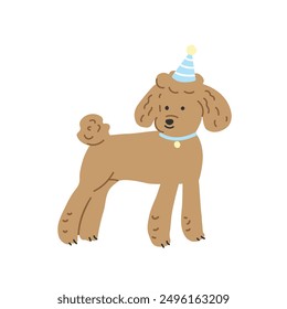 Cute cartoon poodle dog with birthday hat. Vector illustration.