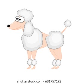 Cute cartoon poodle dog. Vector illustration. Smiling poodle. Dog breeds.