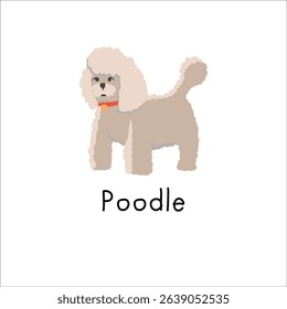 Cute cartoon Poodle dog wearing a red collar, isolated on a white background.  Perfect for children's books, pet-related designs, or educational materials. This illustration features a light beige Poo