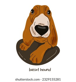 Cute cartoon portrait of a Basset Hound dog. Vector flat illustration
