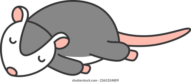 Cute cartoon possum. Vector illustration isolated on a white background.