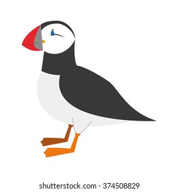 Cute cartoon puffin vector illustration