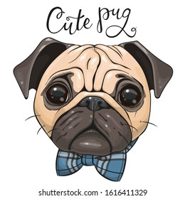 Cute Cartoon Pug Dog with a bow tie isolated on a white background