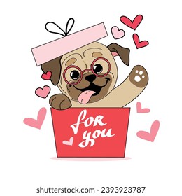 Cute cartoon pug dog in a gift box and heart on a white isolated background. Vector illustration for Valentine's Day and birthday