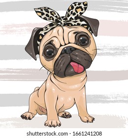 Cute Cartoon Pug Dog girl with a bow isolated on a striped background