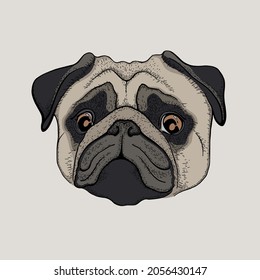 Cute Cartoon Pug, dog pet drawn