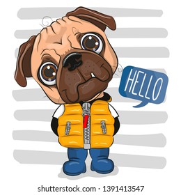 Cute Cartoon Pug Dog in a vest and boots